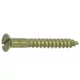 FACSAVAR SF D2.5*12