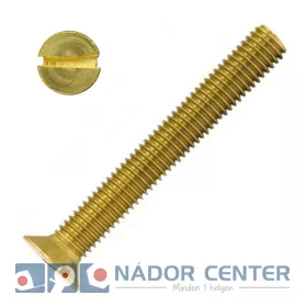 SFEH CSAVAR M6*10 (SÜLLY.FEJ)