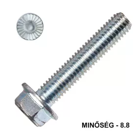 HLF hatlapfejű csavar alátétes M6*16