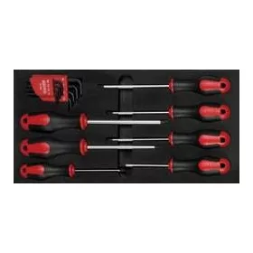   Csavarhúzó Torx +Torx imbuszkulcs  klt C-Plus  15r. tálcás Ceta Form