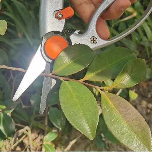 Metszőolló 20 cm virág Harden